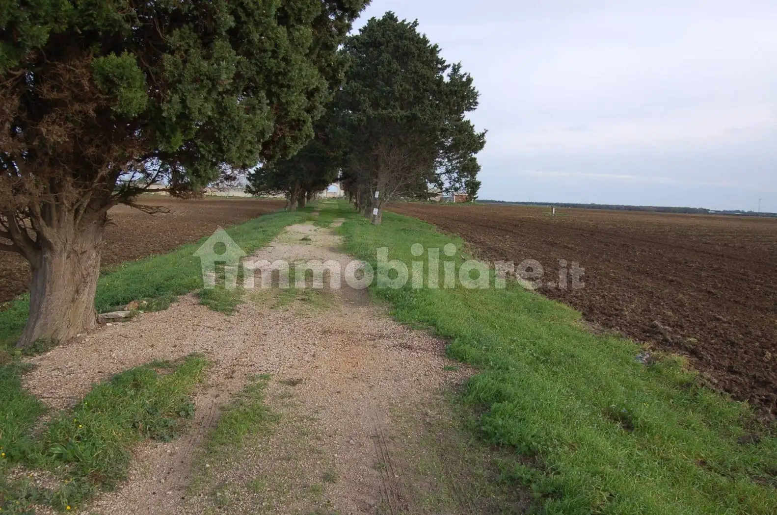 Masseria 701 m², Tuturano - Cerano, Brindisi - foto 5