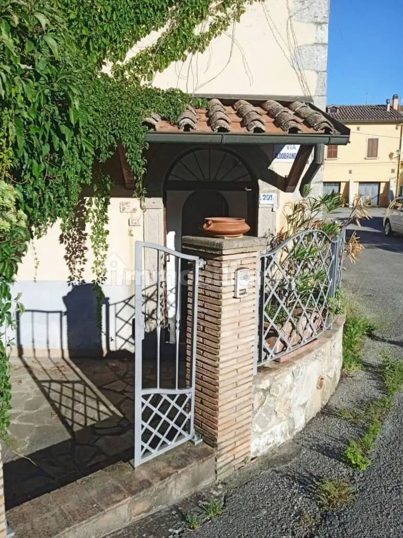 Terratetto unifamiliare via Aldobrandeschi, Selvena, Castell'Azzara - foto 3