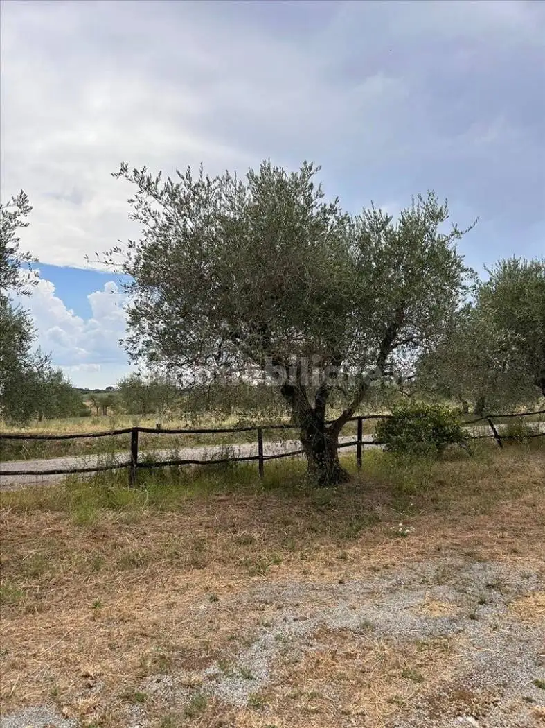 Villa plurifamiliare, buono stato, 190 m², Petrignano, Castiglione del Lago - foto 3
