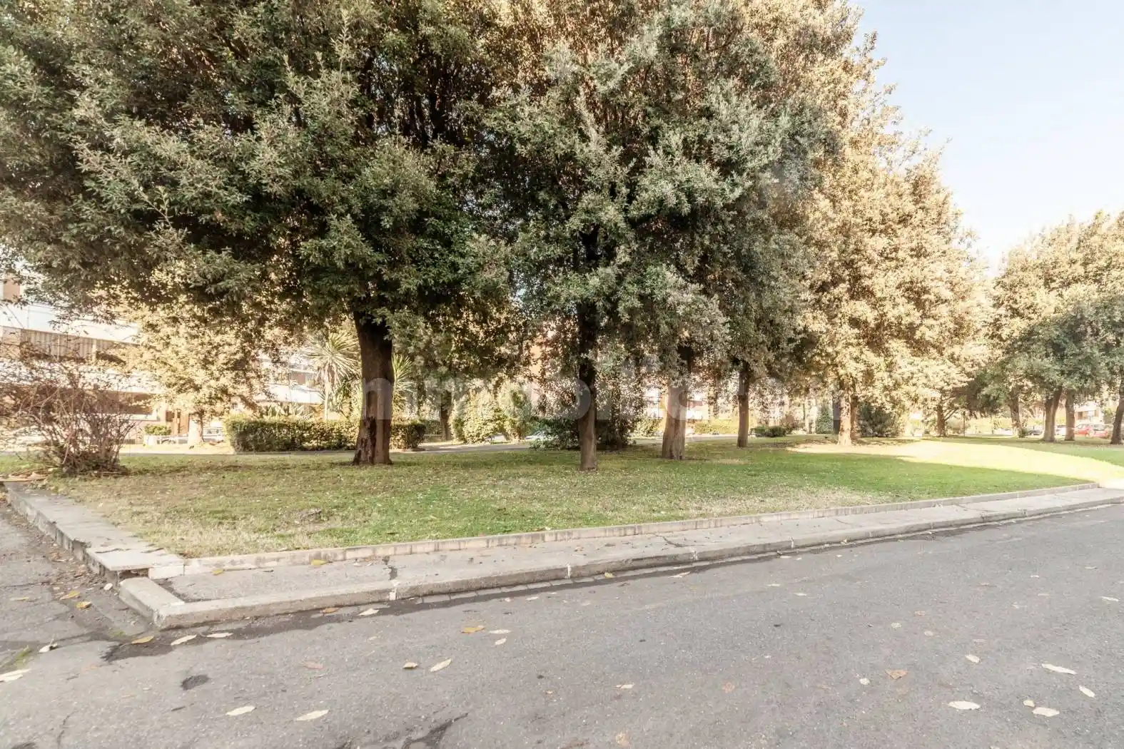 Appartamento via del Prato della Signora, Nuovo Salario, Roma - foto 3