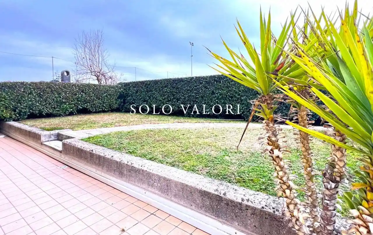 Trilocale ottimo stato, piano terra, Centro, Vedelago - foto 2
