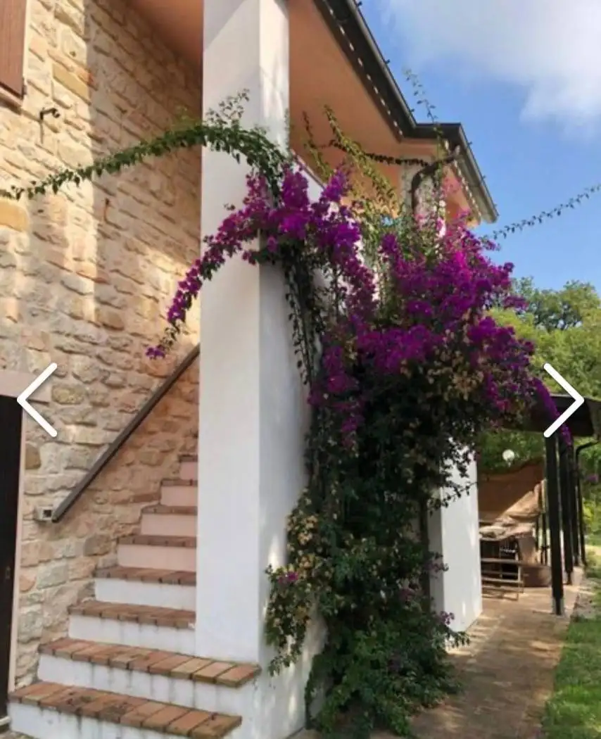 Rustico via Poggio, Poggio - Massignano, Ancona - foto 4