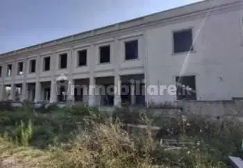 Palazzo - Stabile in asta a Meldola