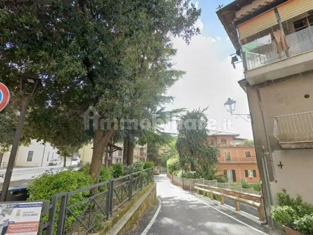 Appartamento in asta a Ciciliano