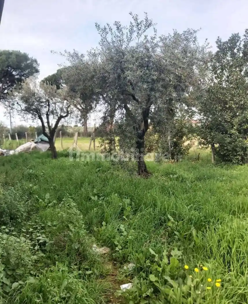 Villa all'asta via Appia Sud, 00049 Velletri Italia - Velletri, Velletri - foto 4