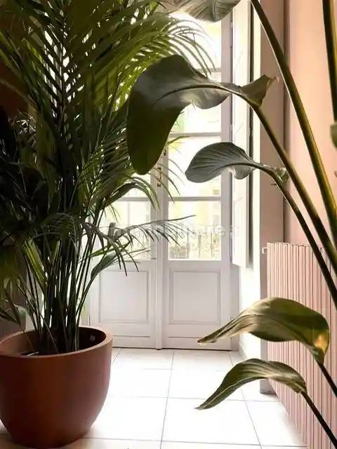 Trilocale via Piave 9, Quadrilatero Romano, Torino - foto 5