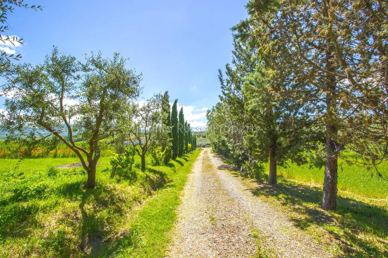 Casale Strada Provinciale Porrona, Cinigiano - foto 2