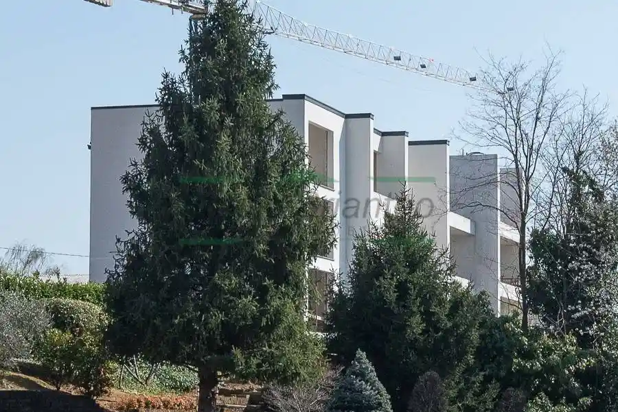 Villa a schiera viale Rimembranze, Centro, Carugo - foto 3