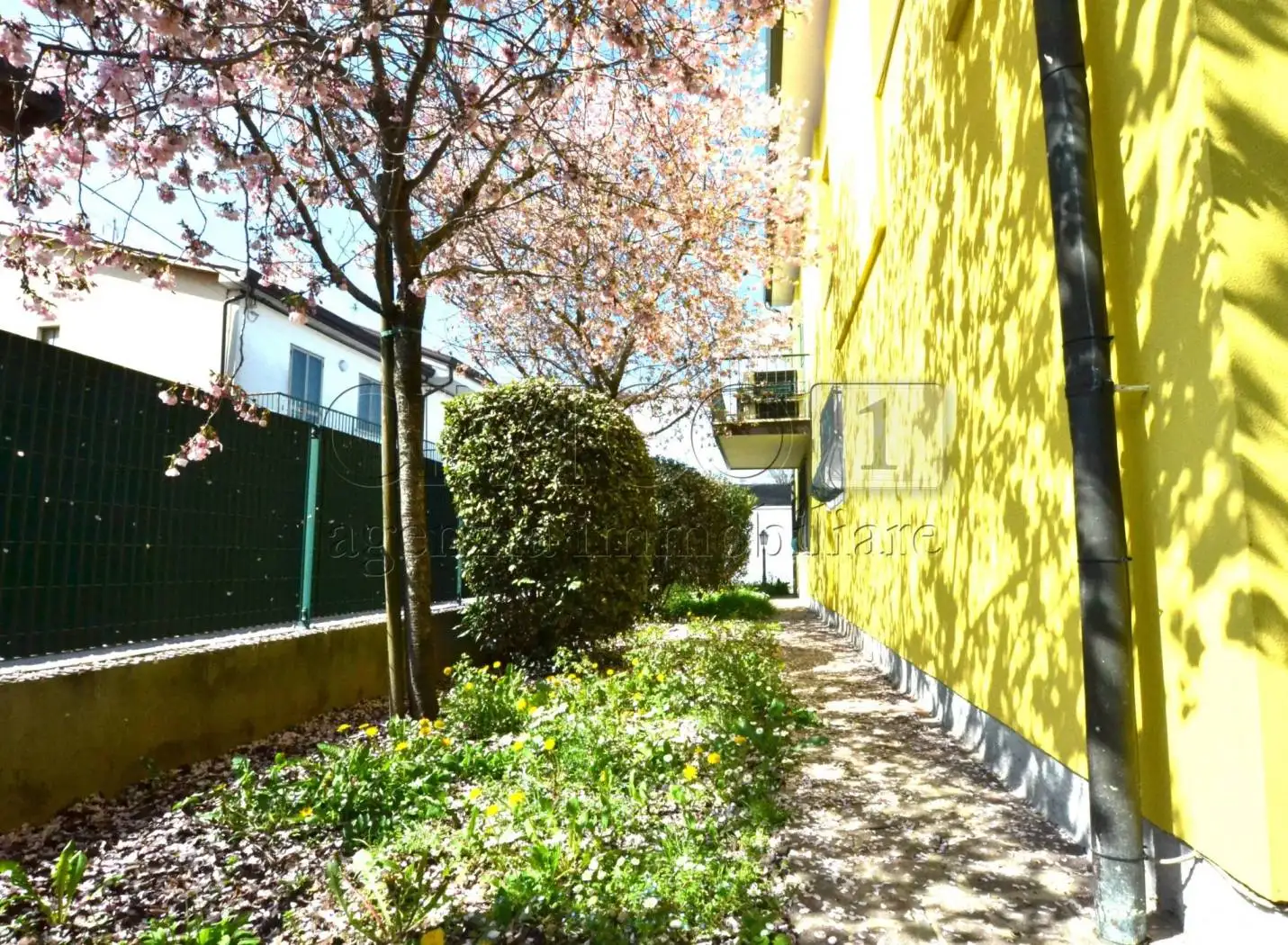 Villa in vendita a Albignasego