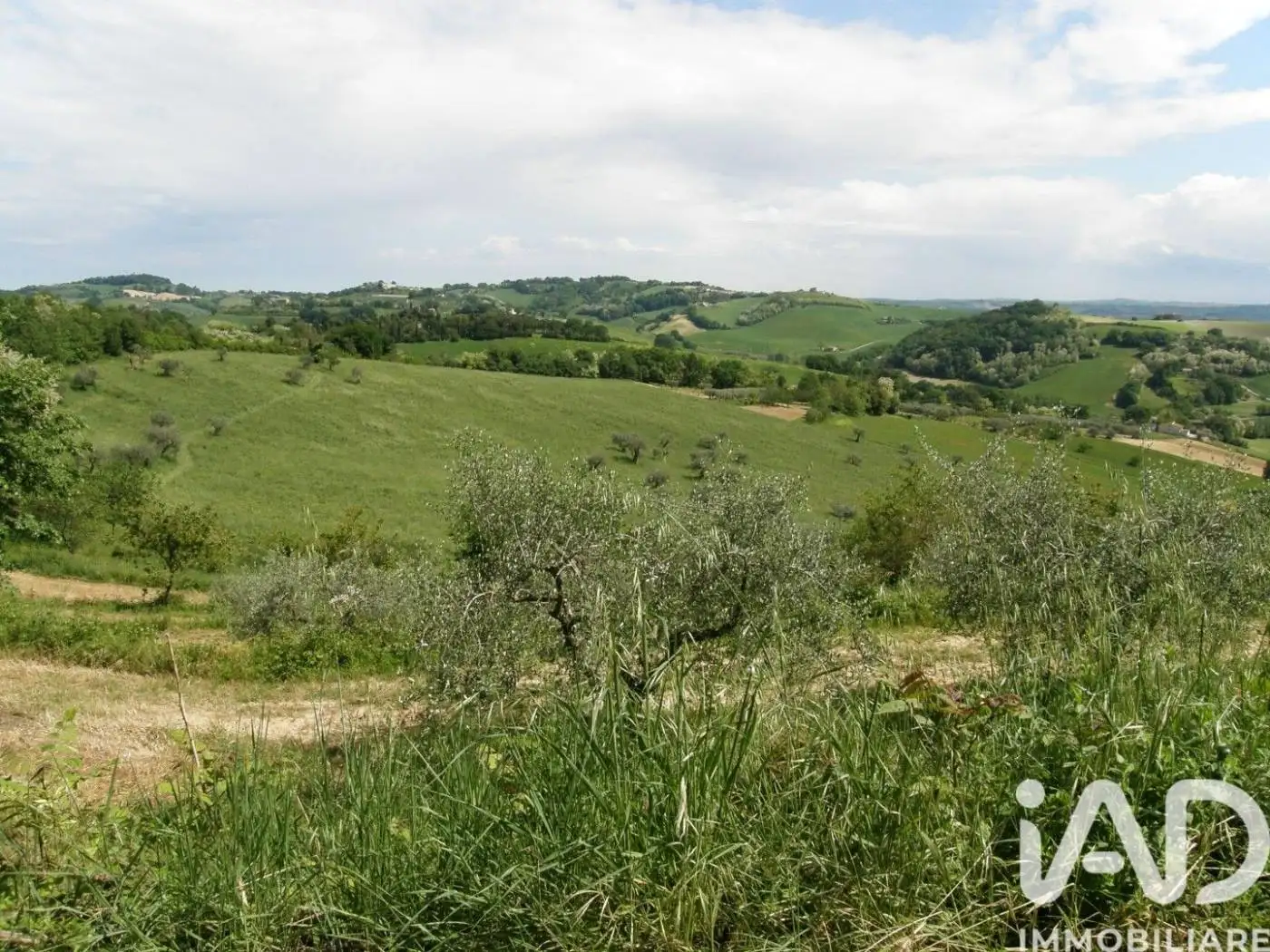 Rustico LocalitÃ  CARIGNANO, Vallato - San Lazzaro, Fano - foto 3