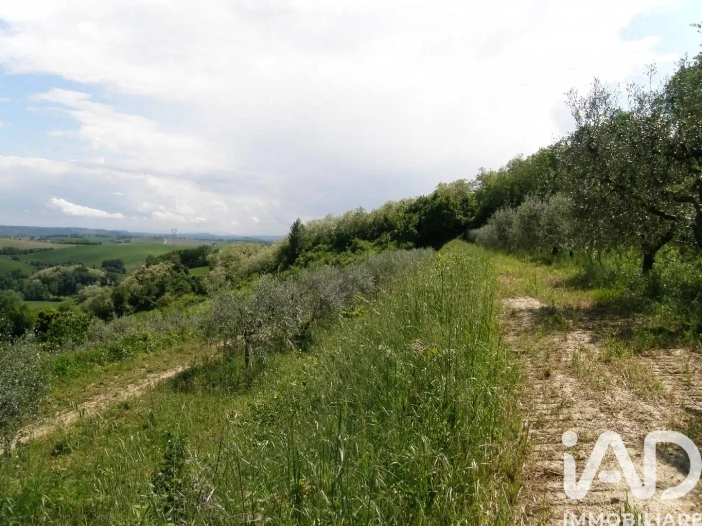 Rustico LocalitÃ  CARIGNANO, Vallato - San Lazzaro, Fano - foto 5
