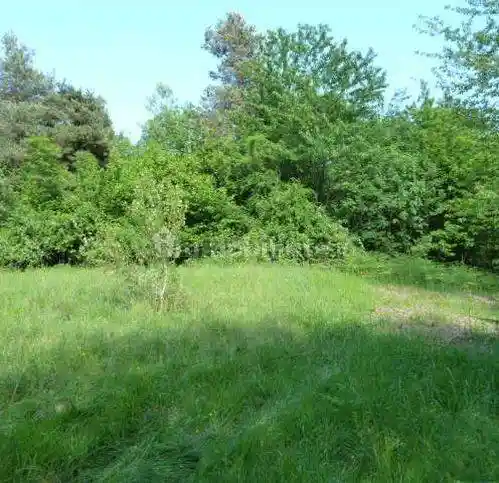 Rustico, da ristrutturare, 96 m², Carcare - foto 4