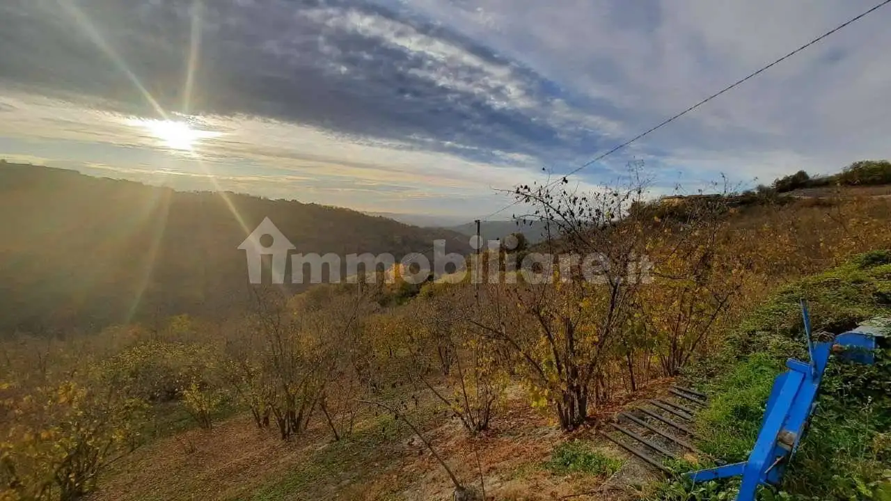 Terratetto unifamiliare via Borine, Albaretto della Torre - foto 3