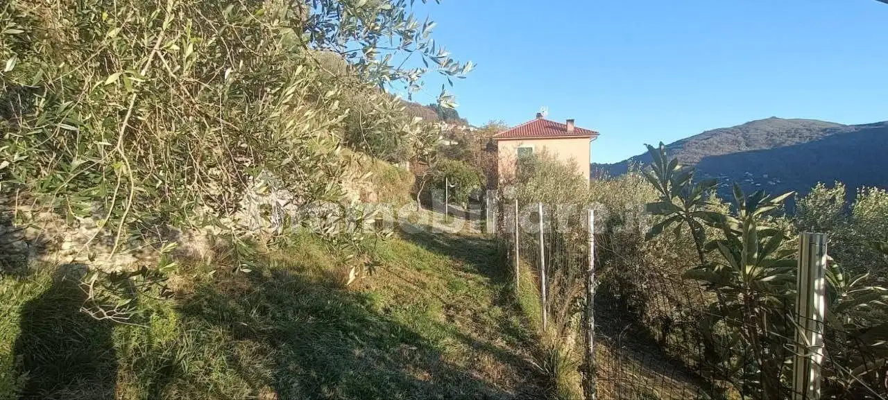 Appartamento in villa via Piane di Rosso, Piane Di Rosso, Davagna - foto 2