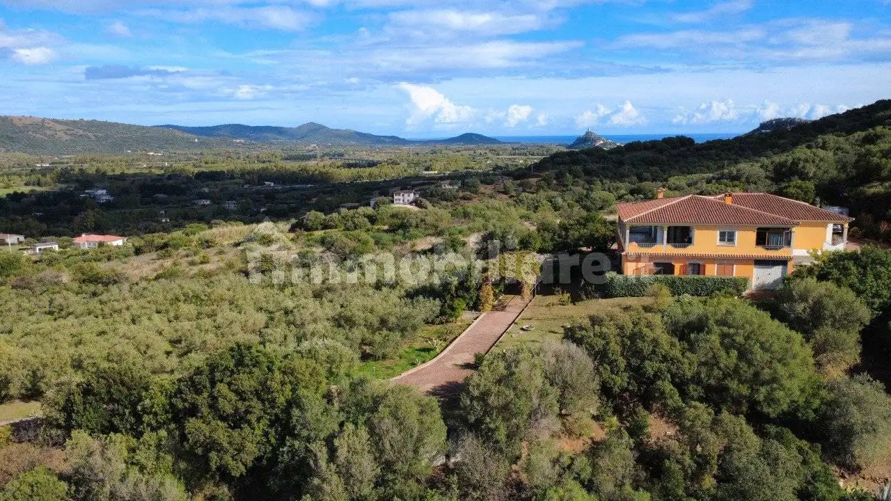 Villa unifamiliare Località Sas Vides, Centro, Torpè - foto 3