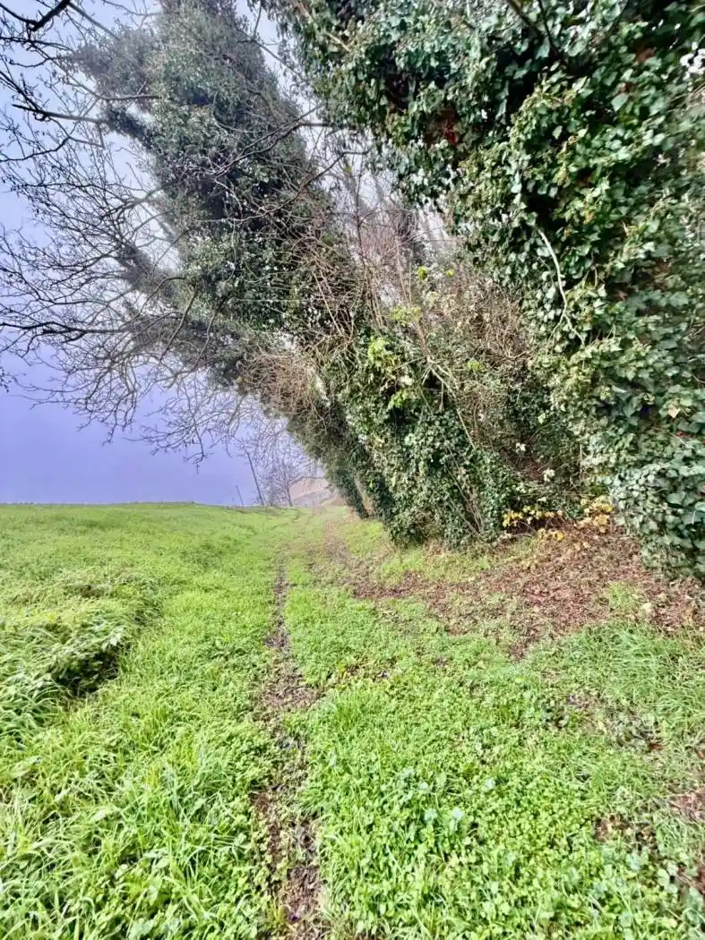 Terratetto unifamiliare via Provinciale 10, Centro, Bondeno - foto 5