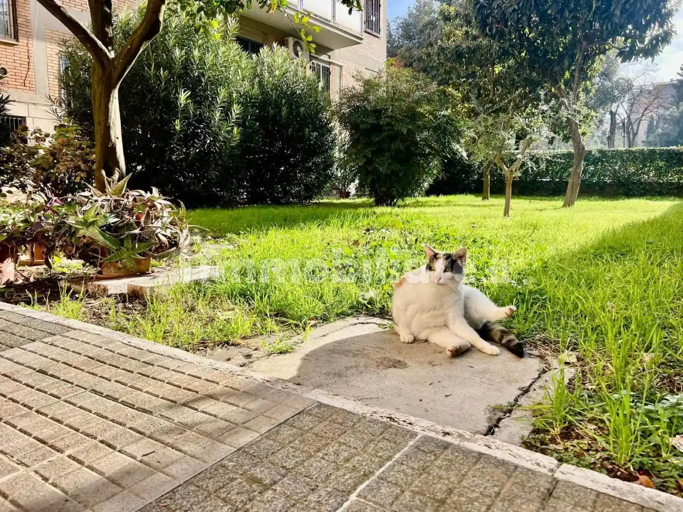 Trilocale via Carlo Fadda, Cinecittà, Roma - foto 2
