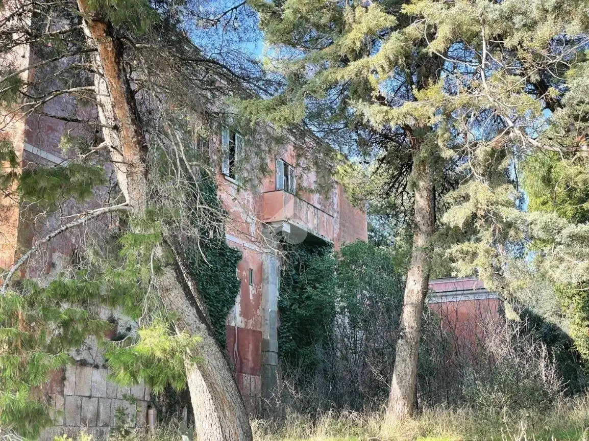 Rustico - Casale in vendita a Minervino Murge