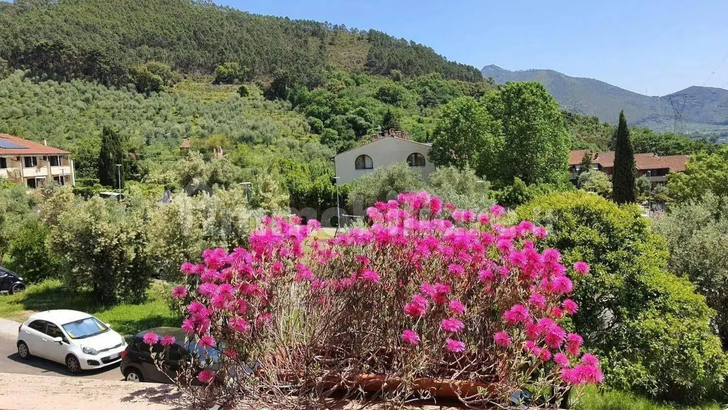 Villa unifamiliare piazza E. Santoni, Gabella, Calci - foto 3