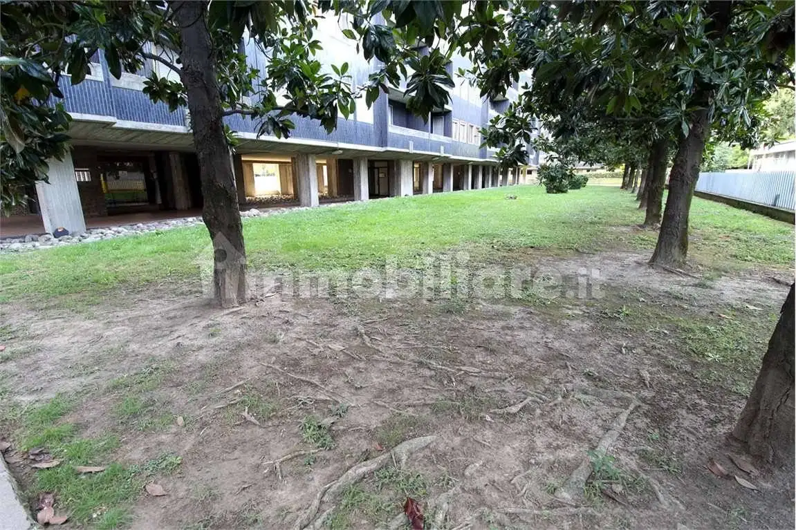 Quadrilocale viale Giulio Cesare, 147, Cittadella - Villaggio Dalmazia, Novara - foto 3