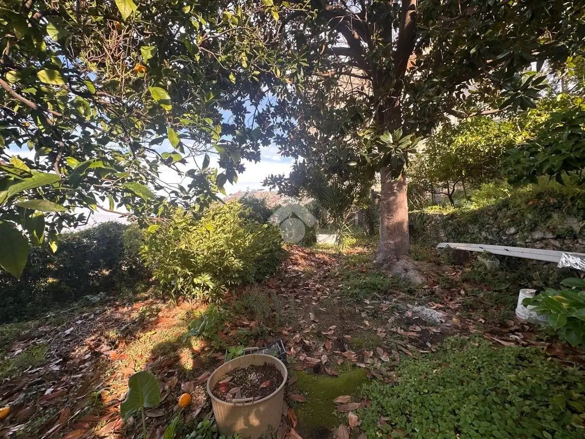 Terratetto plurifamiliare via Francesco Robuffo Giordano 1, Corbara - foto 4