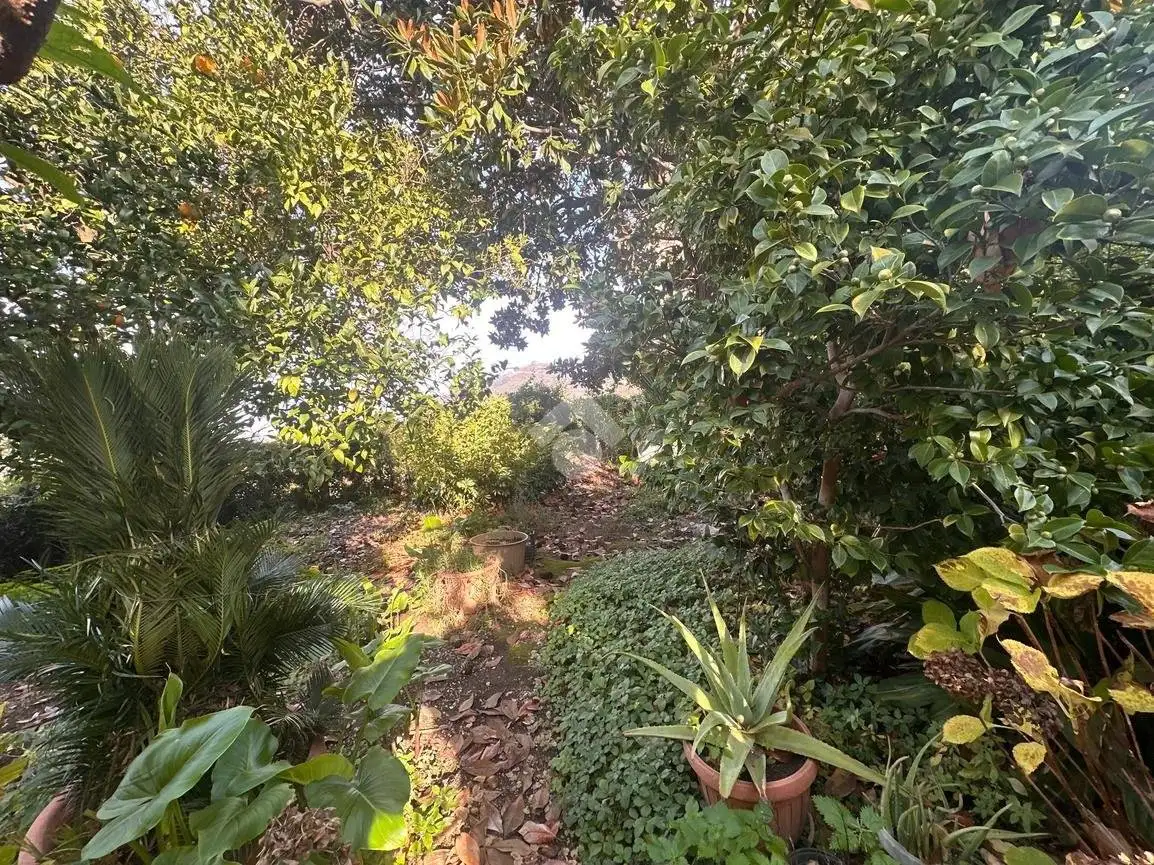 Terratetto plurifamiliare via Francesco Robuffo Giordano 1, Corbara - foto 5