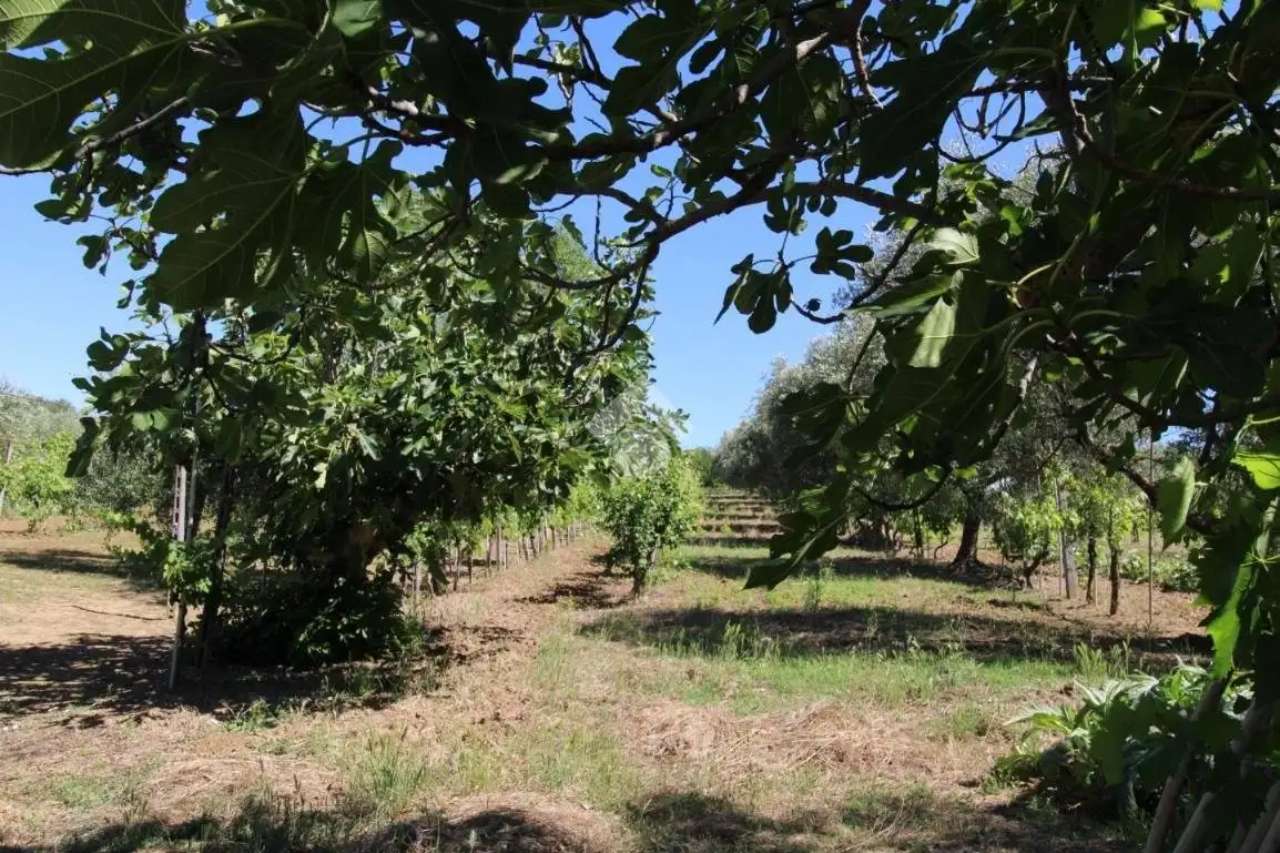 Terratetto unifamiliare via Lagone 22, San Lorenzo in Correggiano, Rimini - foto 5