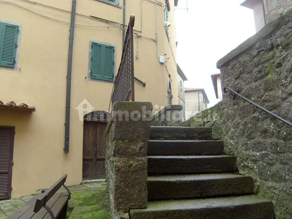 Casa indipendente in vendita a Piancastagnaio