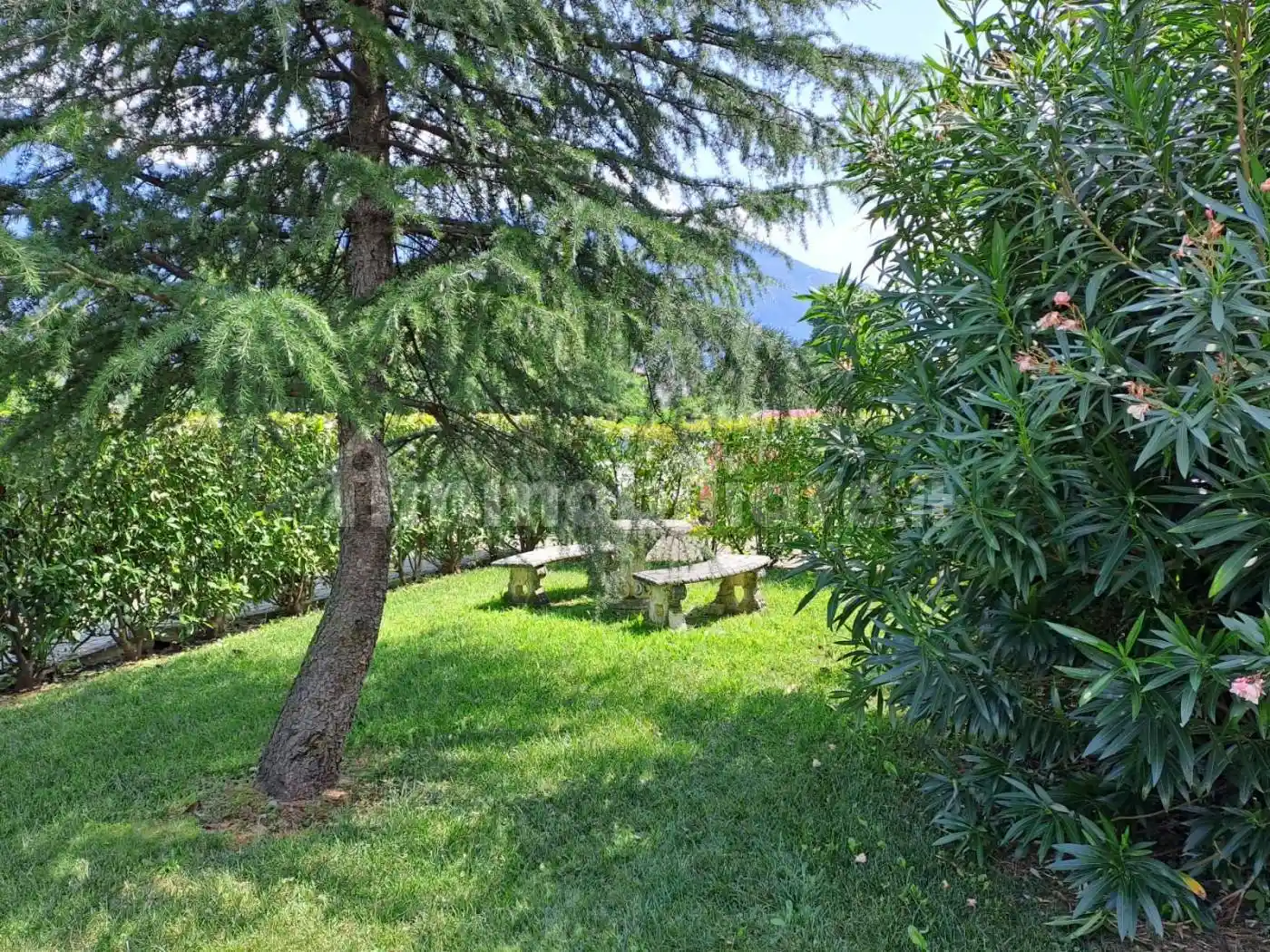 Monolocale via Roma, Centro, Domaso - foto 4