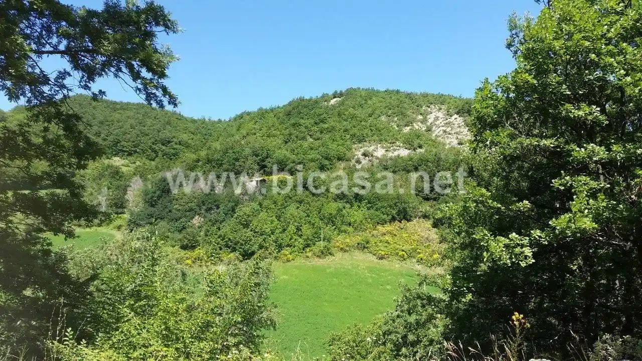 Rustico - Casale in vendita a Sant'Angelo in Vado