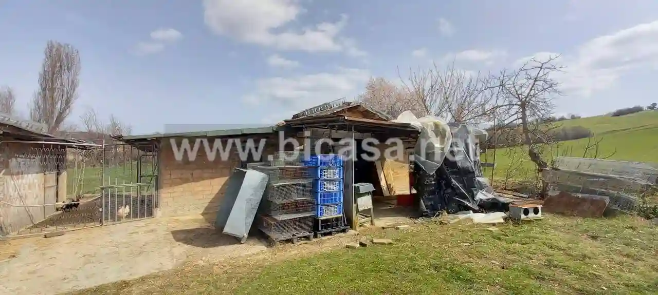 Rustico - Casale - foto 5