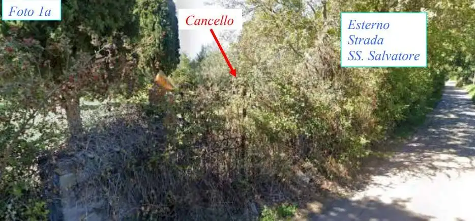 Villa all'asta Str. Santissimo Salvatore, Viterbo - foto 3