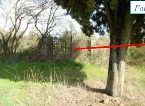 Villa all'asta Str. Santissimo Salvatore, Viterbo - foto 4