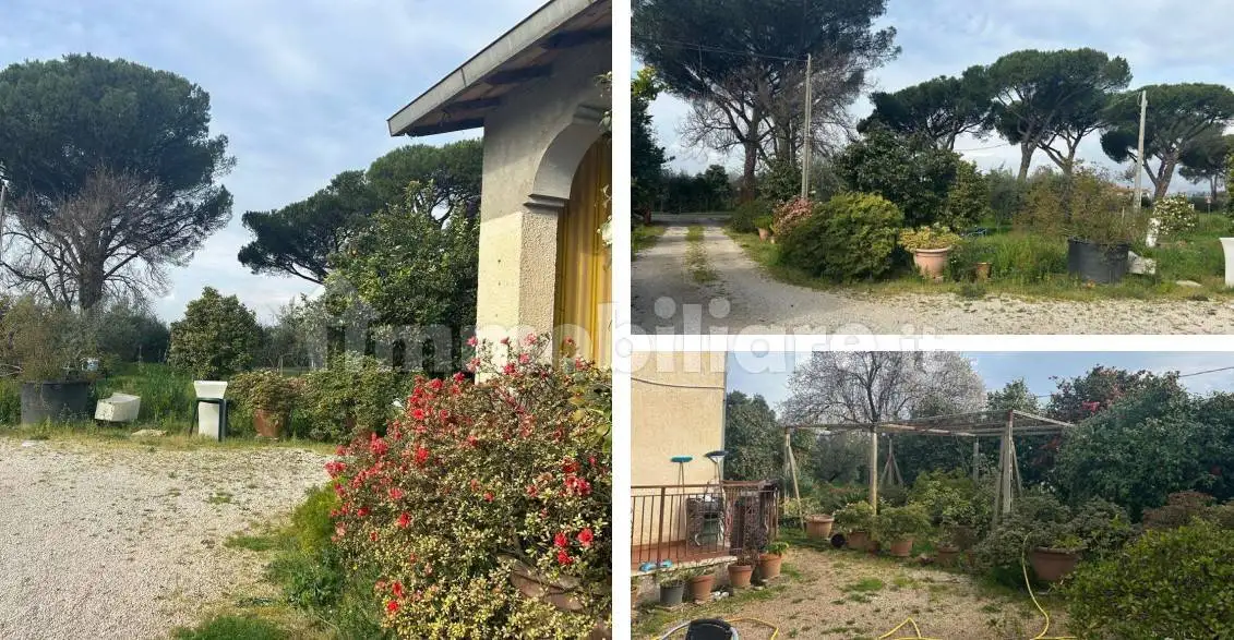 Villa all'asta via Appia Sud, Velletri - foto 4