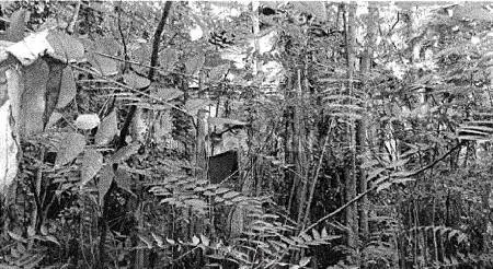 Villa all'asta via della Torricella, Bagno a Ripoli - foto 3