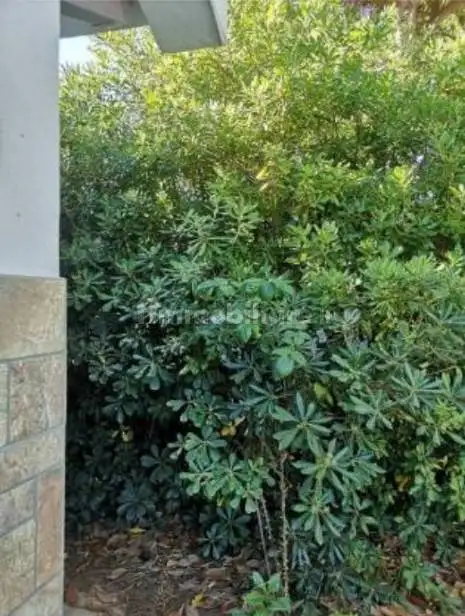 Villa all'asta via Degli Alvethna, Tarquinia - foto 4