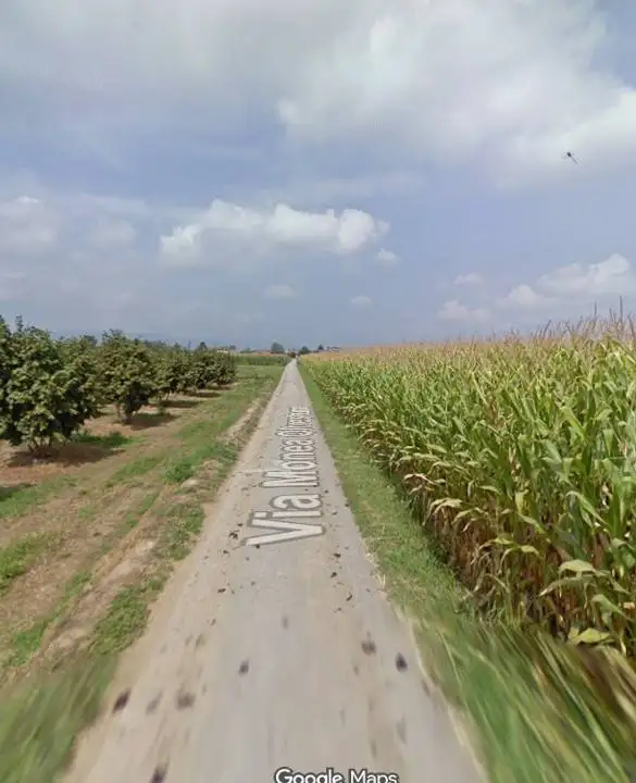 Appartamento all'asta via Monea Oltrestura, Cuneo - foto 2