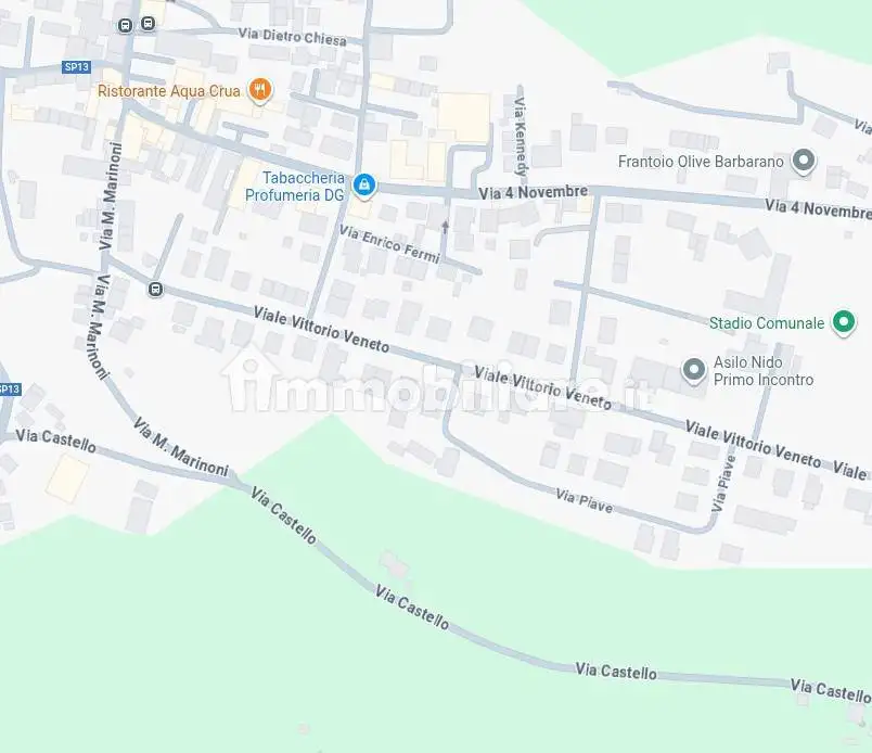 Villa all'asta viale Vittorio Veneto, Barbarano Mossano - foto 4