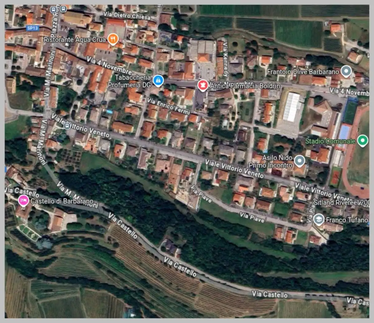 Villa all'asta viale Vittorio Veneto, Barbarano Mossano - foto 5