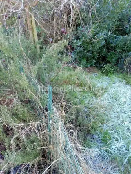 Appartamento all'asta via Migliaro, Cremona - foto 4