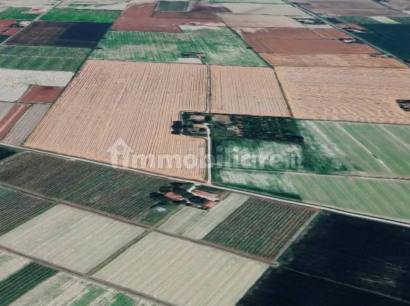 Villa all'asta Merlo, Imola - foto 4