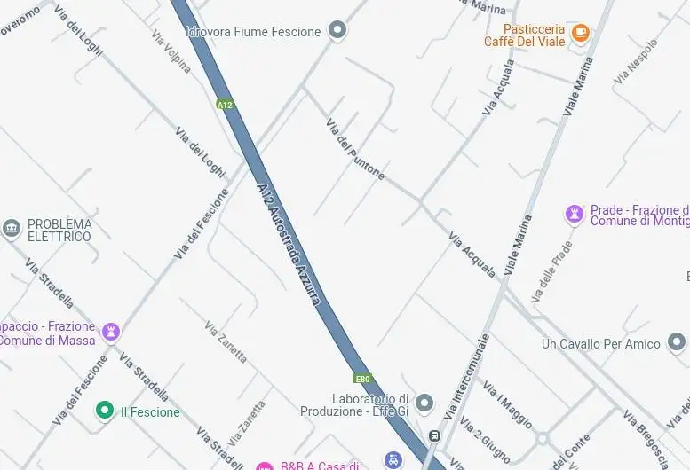 Villa all'asta viale Marina, Montignoso - foto 5