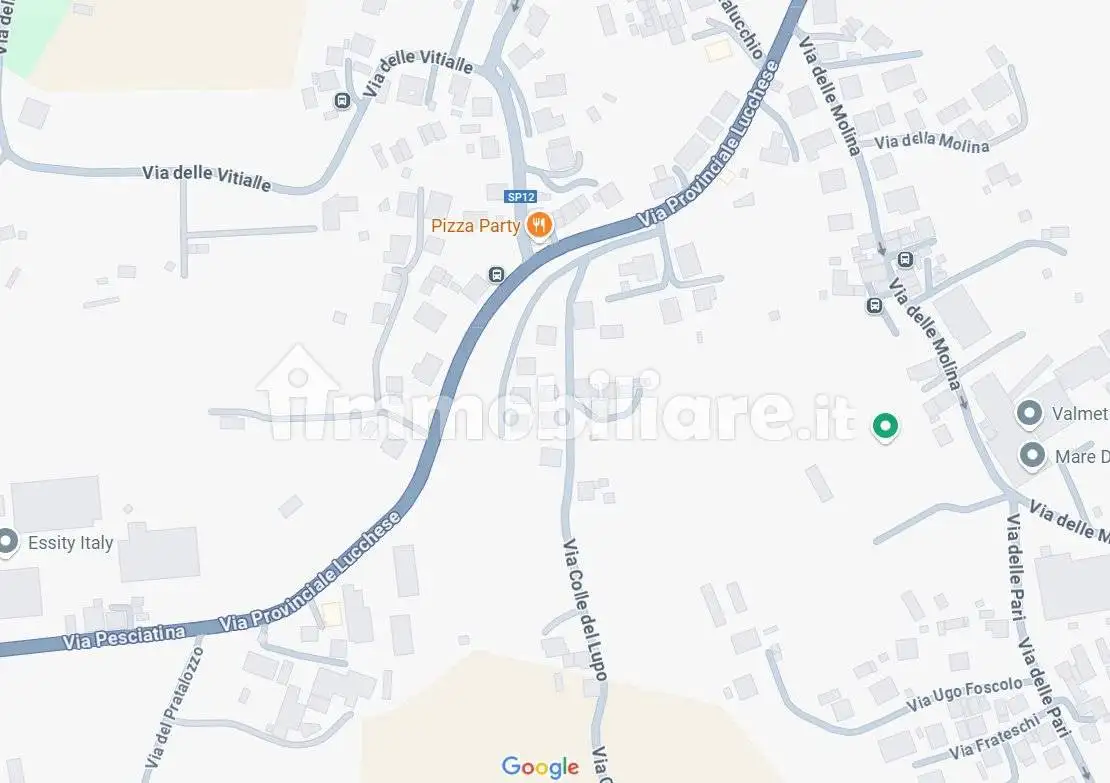 Villa all'asta via Colle del Lupo, Pescia - foto 3