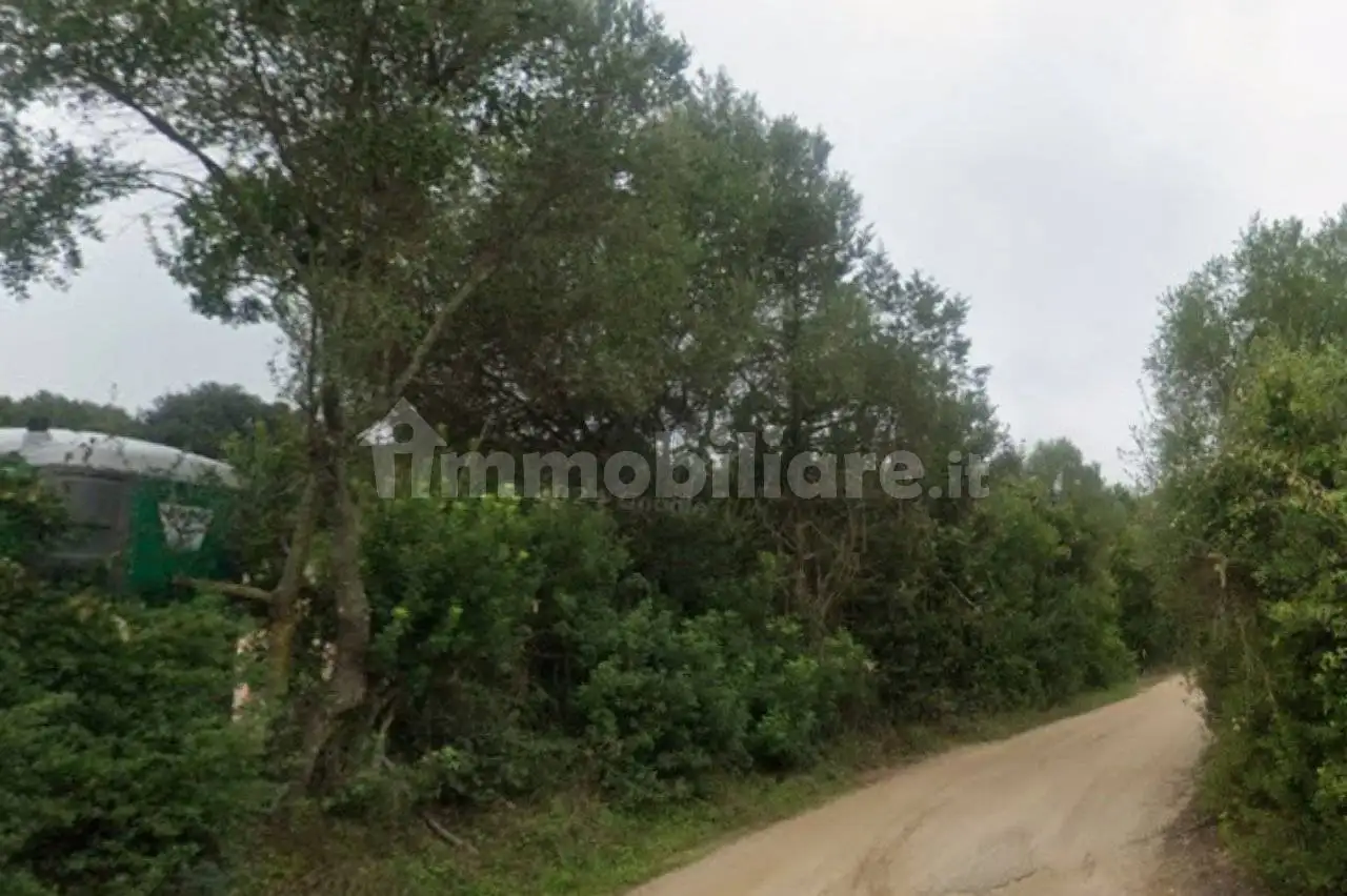 Villa all'asta Loc Macciunitta, Arzachena - foto 2