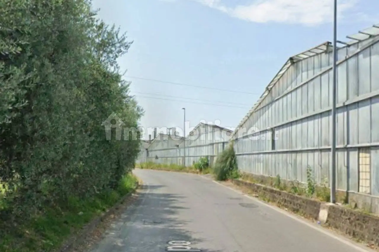 Villa all'asta via di Campo, Pescia - foto 2