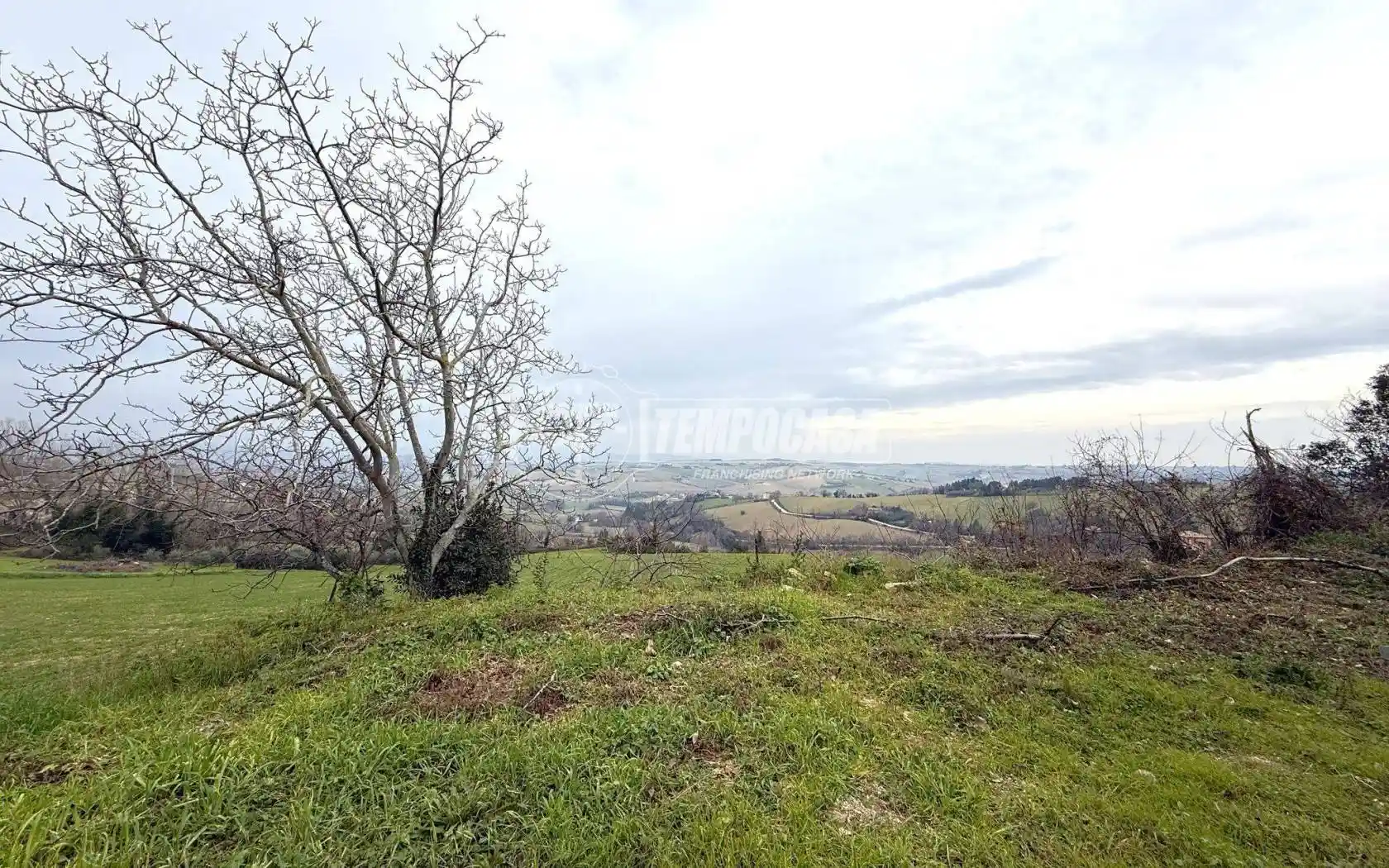 Rustico Borgo Cavour, Centro, Ostra Vetere - foto 3