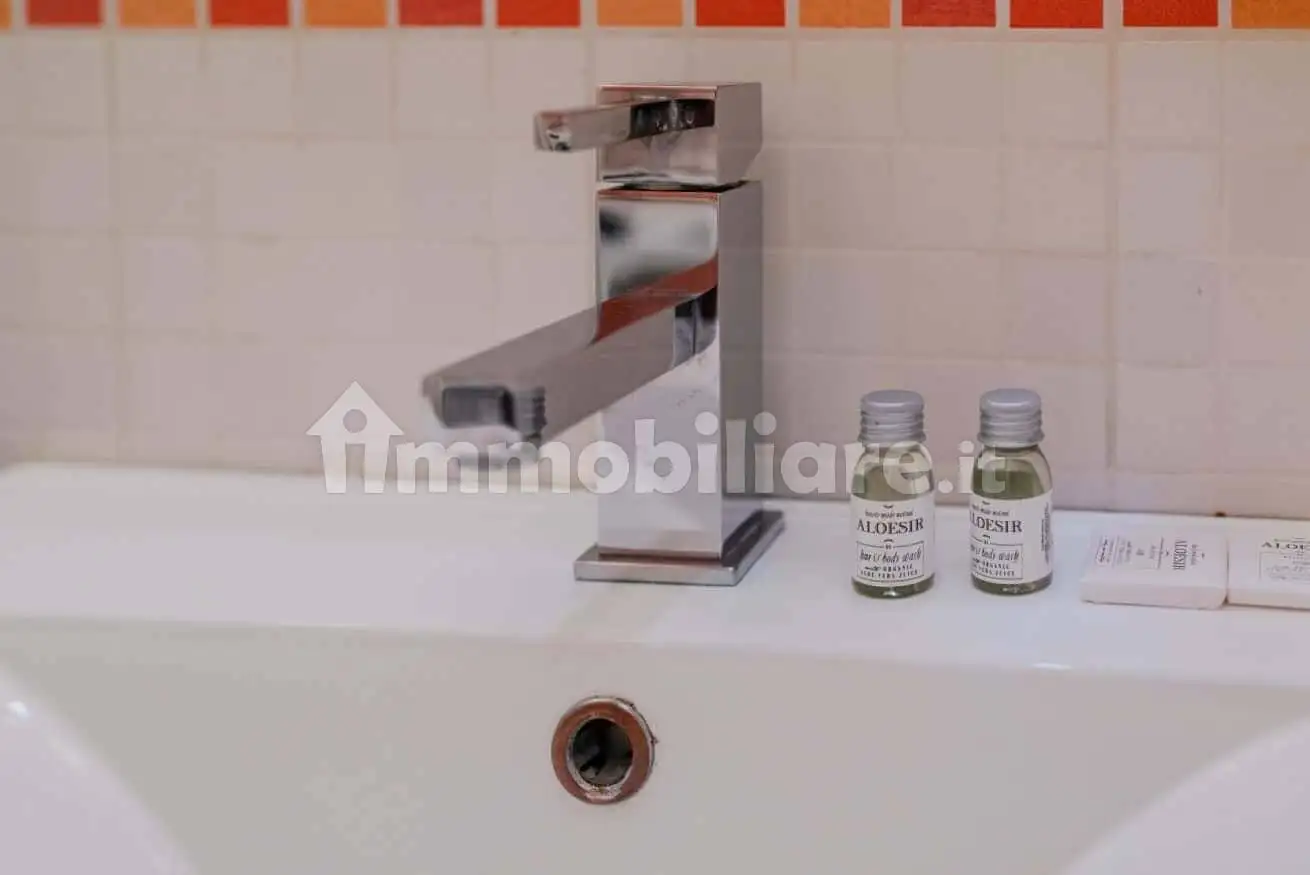 Appartamento in affitto a Torino