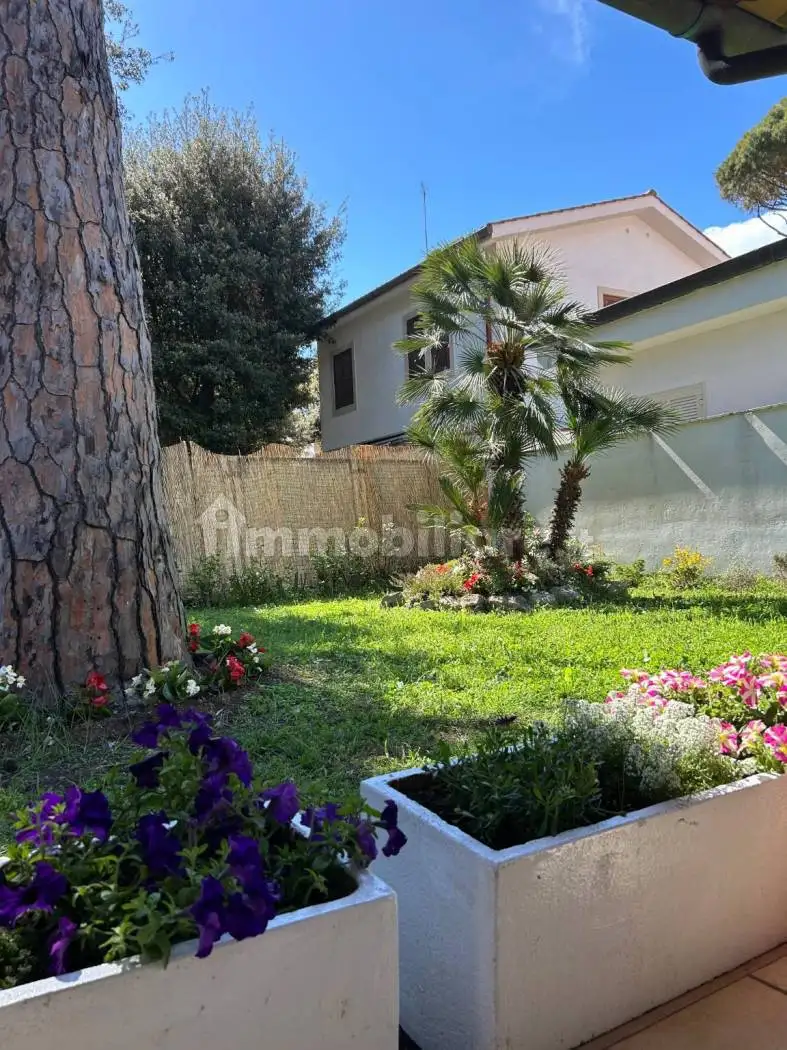 Appartamento in affitto a Fiumicino