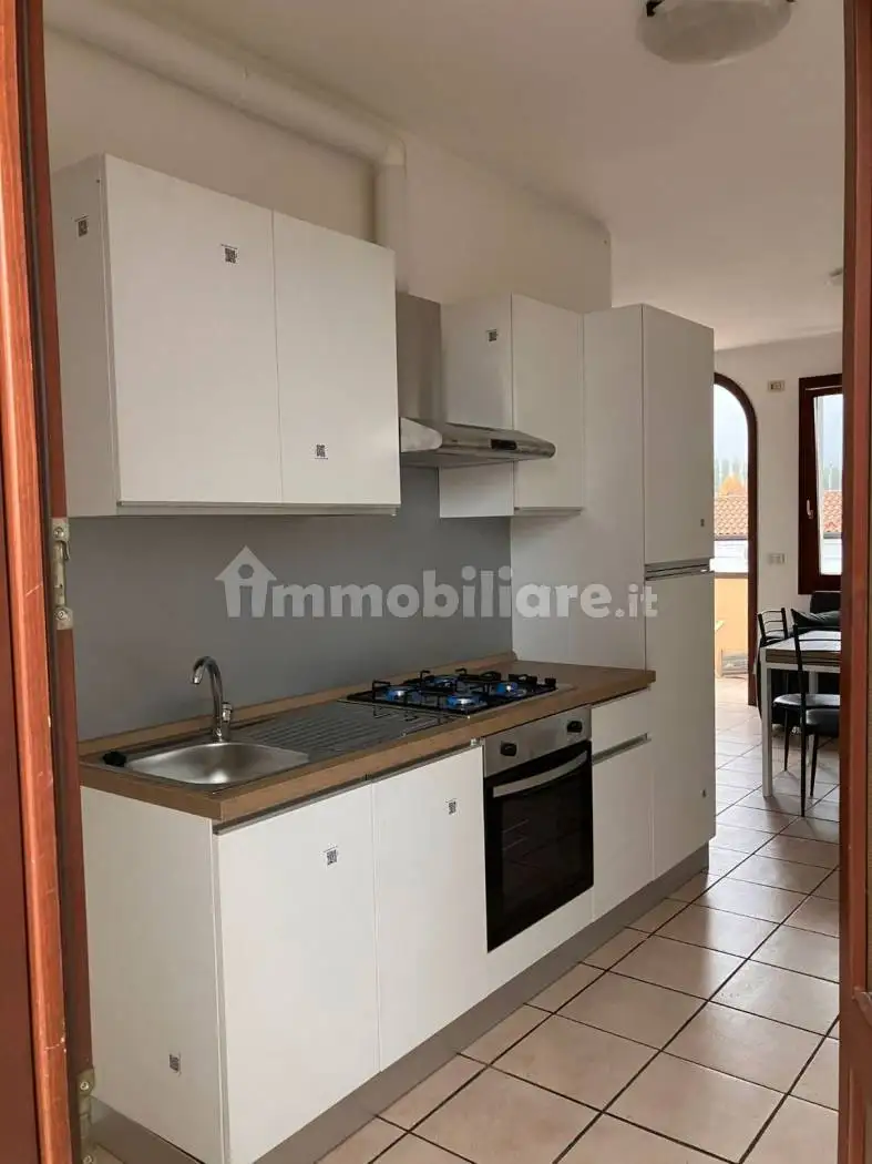 Appartamento in affitto a Castagnaro