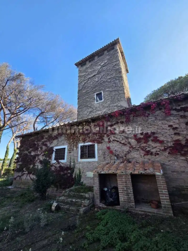 Palazzo - Edificio in affitto a Roma